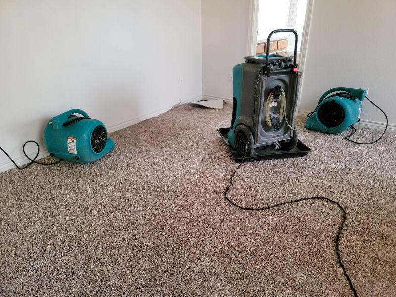 Odor Removal
